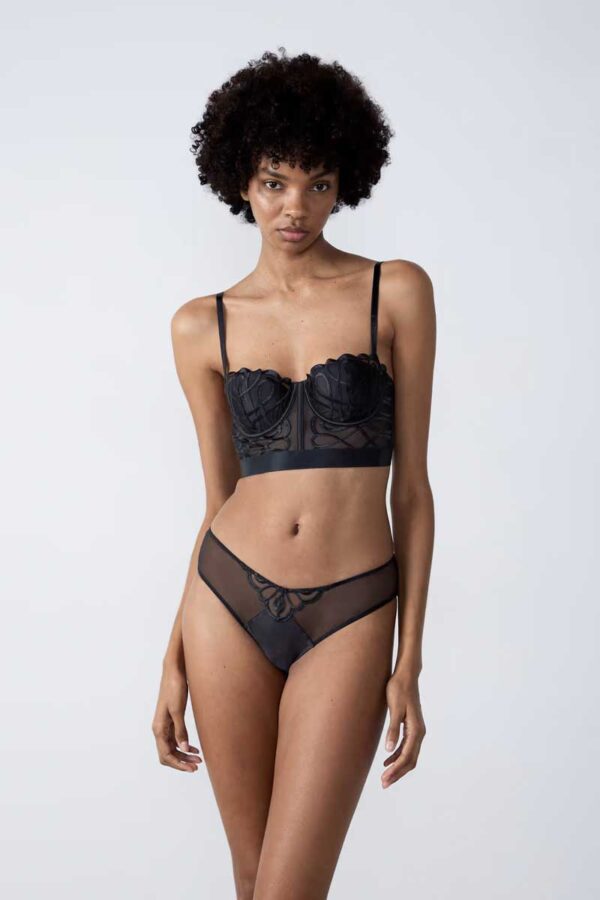 SUSPENSE Embroidered Tulle Hipster - Image 2