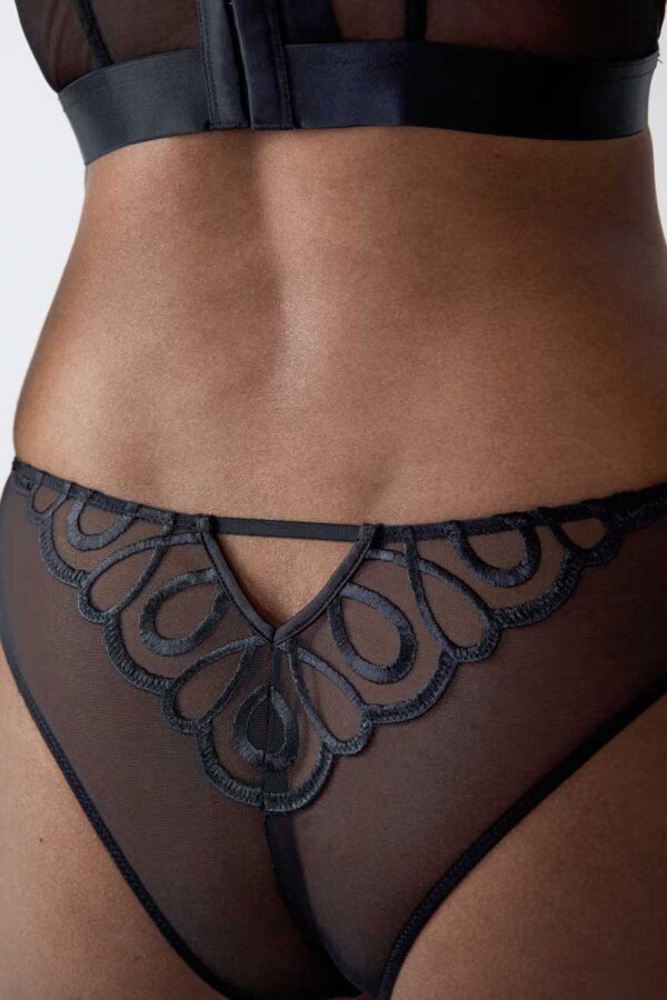SUSPENSE Embroidered Tulle Hipster - Image 3