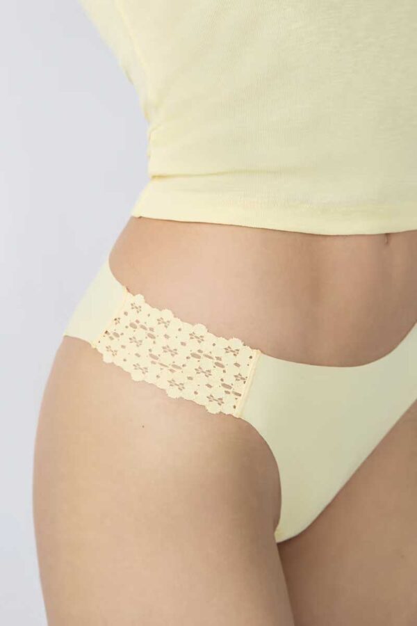 WISH Microfiber and lace panties - Image 3